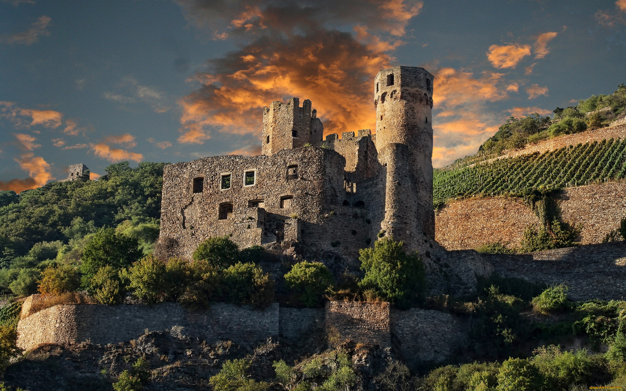 ehrenfels castle, ,  , ehrenfels, castle